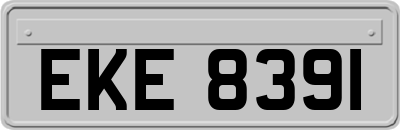 EKE8391