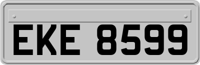 EKE8599