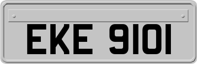 EKE9101
