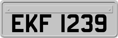 EKF1239