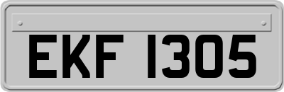 EKF1305