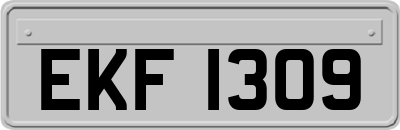 EKF1309
