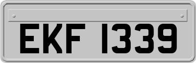 EKF1339