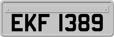 EKF1389