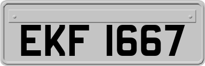 EKF1667
