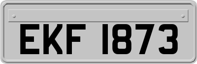 EKF1873