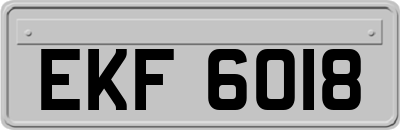 EKF6018