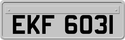 EKF6031