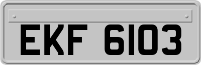 EKF6103