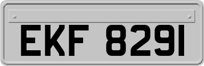 EKF8291