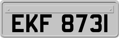 EKF8731