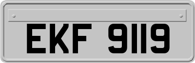 EKF9119