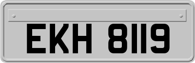 EKH8119