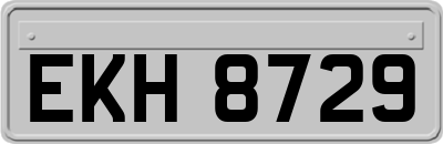 EKH8729