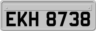 EKH8738