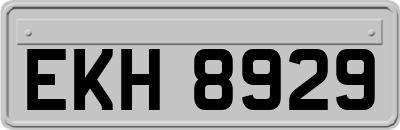 EKH8929