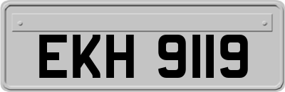EKH9119