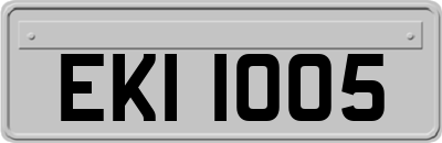 EKI1005
