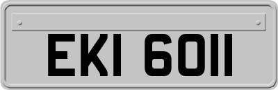 EKI6011