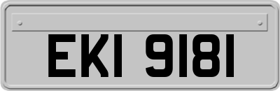 EKI9181