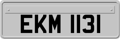 EKM1131