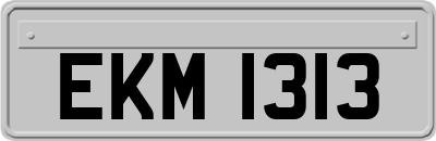 EKM1313