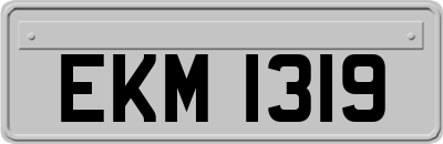 EKM1319