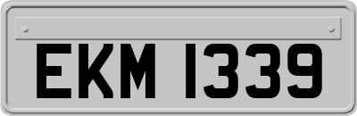 EKM1339