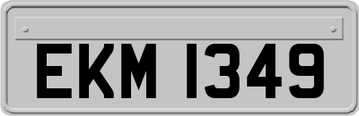 EKM1349