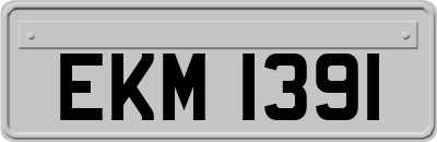 EKM1391