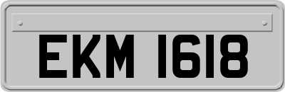 EKM1618