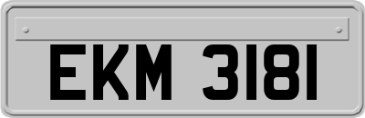 EKM3181
