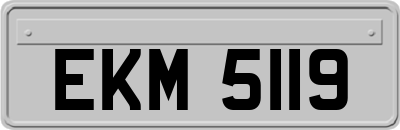 EKM5119