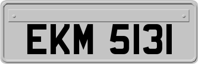 EKM5131
