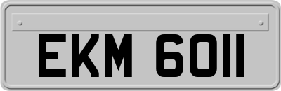EKM6011