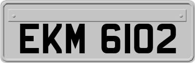 EKM6102