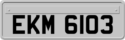 EKM6103