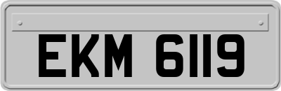 EKM6119