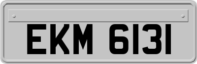 EKM6131