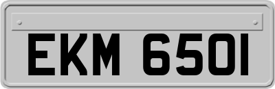 EKM6501
