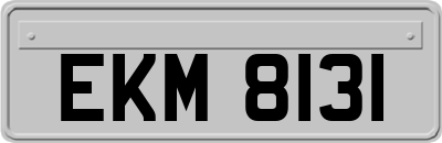 EKM8131