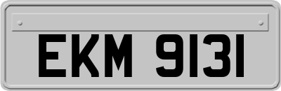 EKM9131