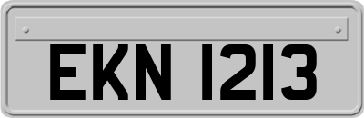 EKN1213
