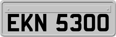 EKN5300