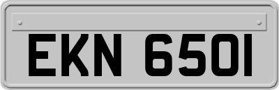 EKN6501