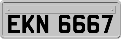 EKN6667