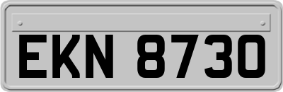 EKN8730