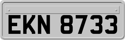 EKN8733
