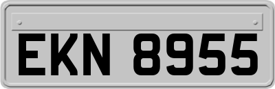EKN8955