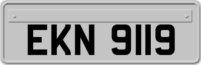EKN9119
